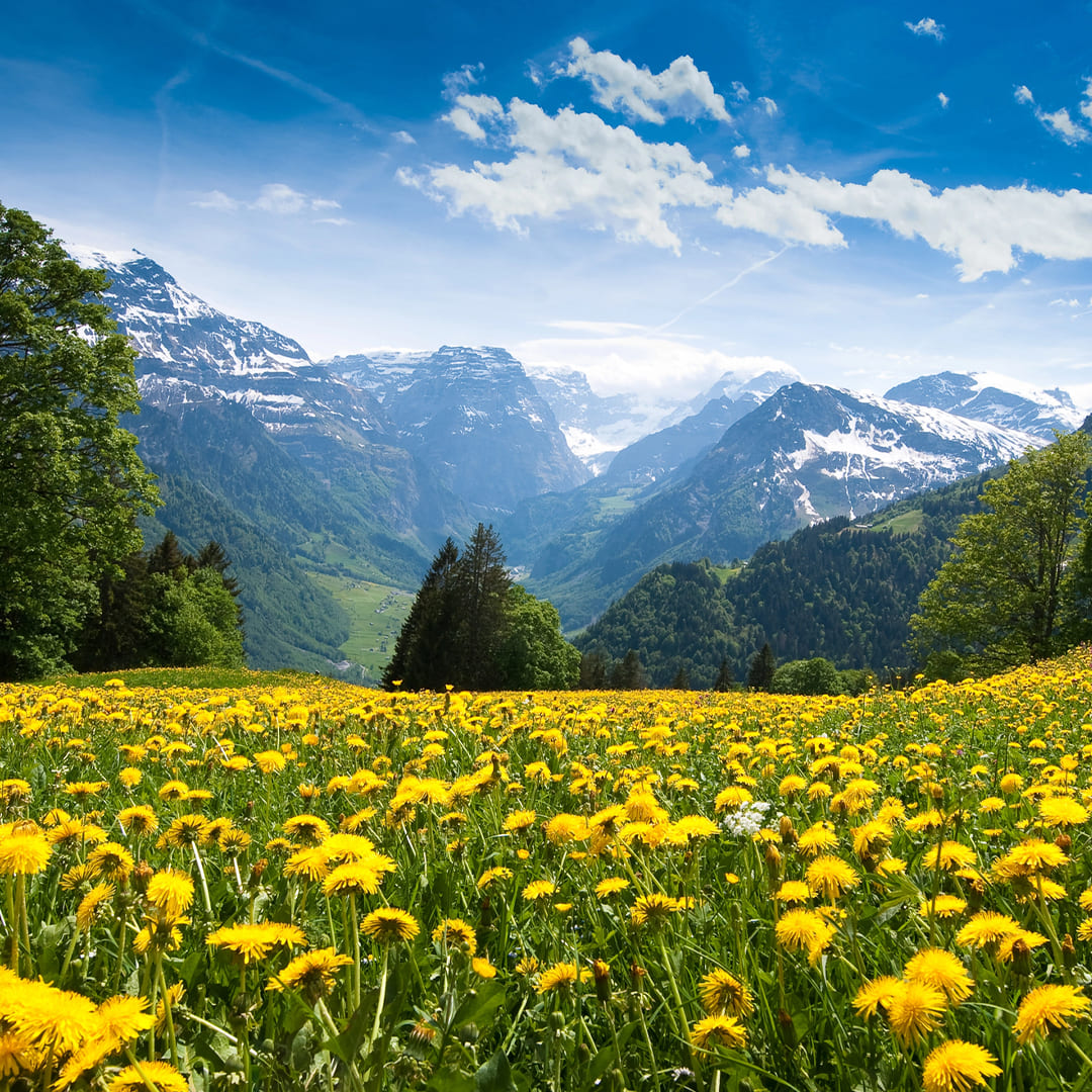 Switzerland Alpine Journey