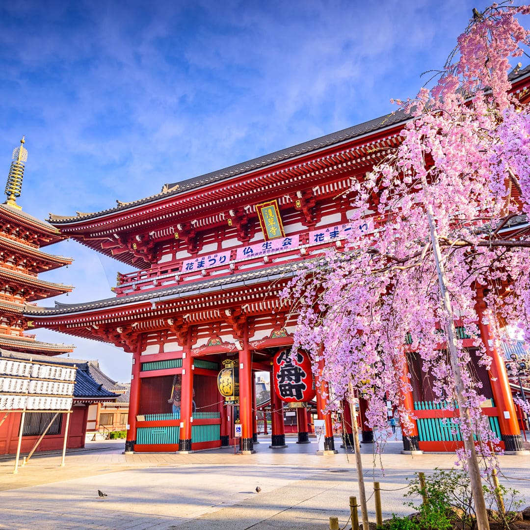Japan Urban Discovery