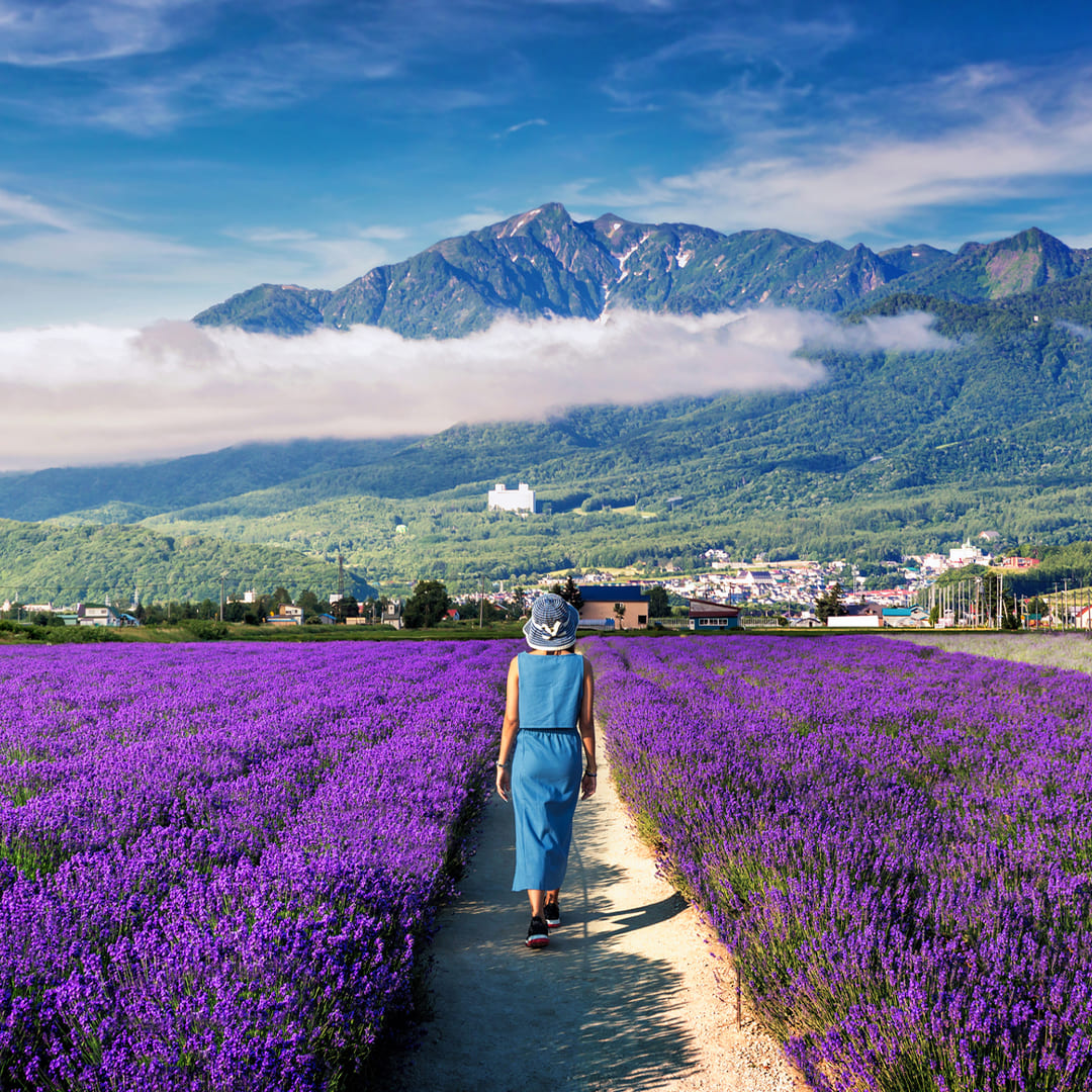 Japan Northern Escape