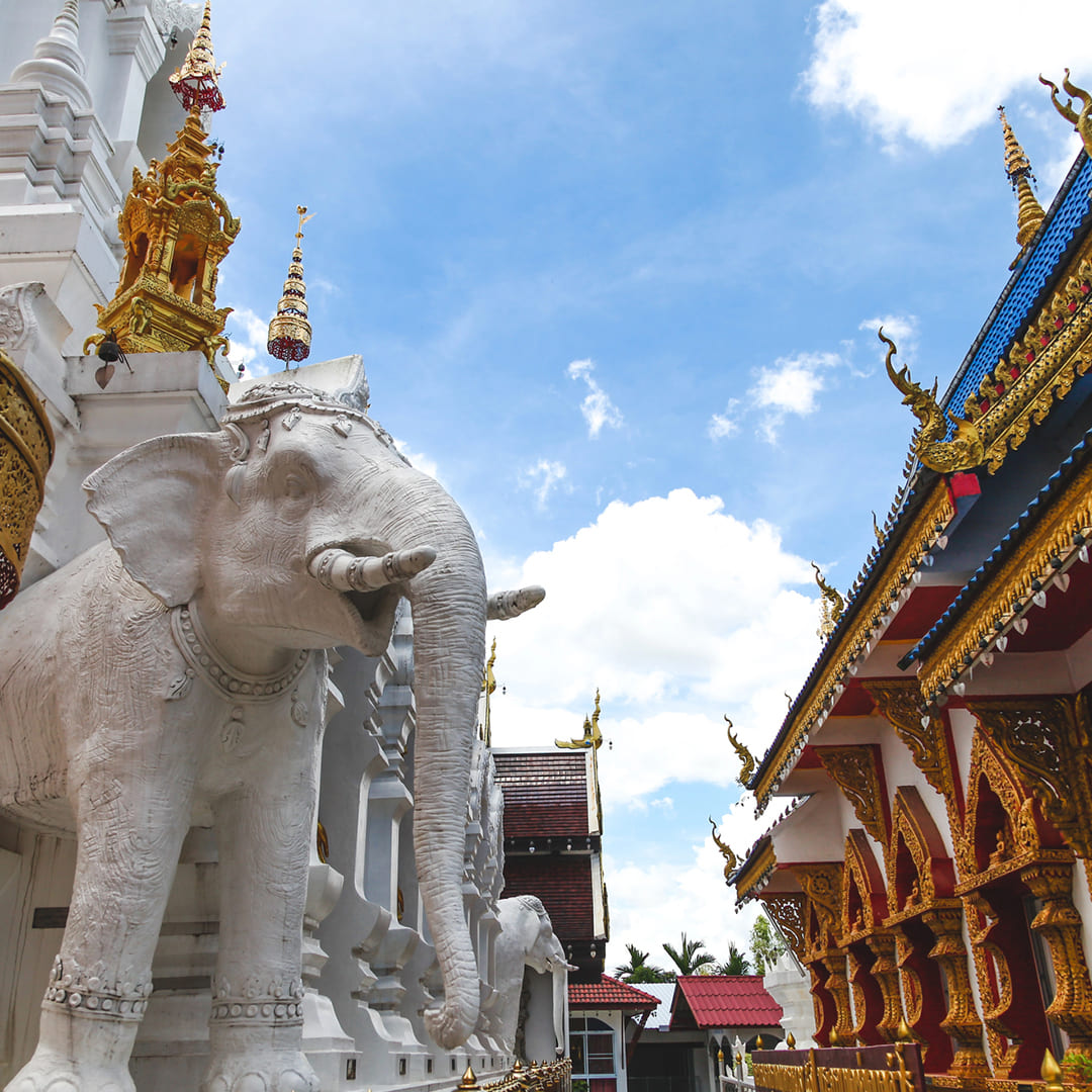 Thailand Tropical Journey