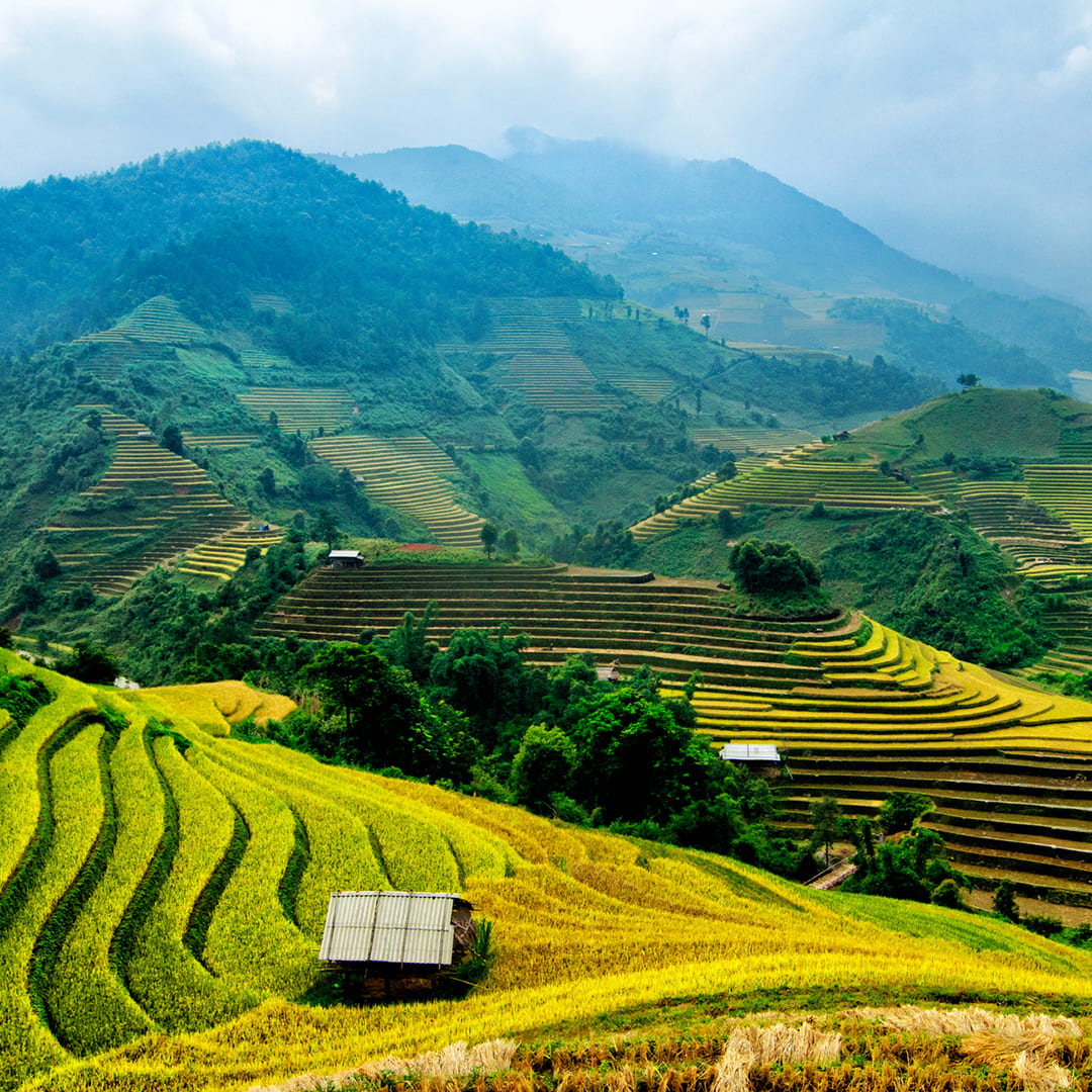 Vietnam Heritage Journey
